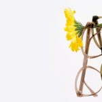 glasses-v1-banner6